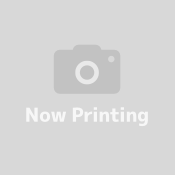 群馬県太田市新田大町　貸倉庫・貸工場｜L-Net（エルネット） 画像1