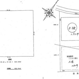 茨城県下妻市大木１２５６－１　249.6坪　貸倉庫・貸工場｜L-Net（エルネット） 画像3