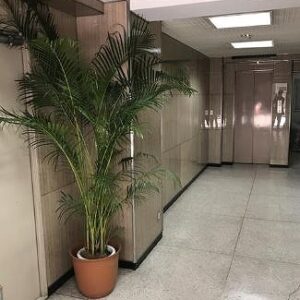 東京都中央区日本橋小舟町３　24坪　貸倉庫・貸工場｜L-Net（エルネット） 画像4