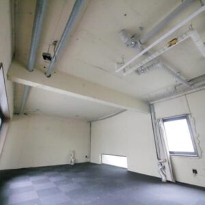 東京都葛飾区金町６丁目１２－６　101坪　貸倉庫・貸工場｜L-Net（エルネット） 画像1