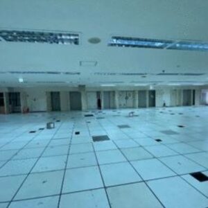 東京都大田区池上８丁目４－１２　168坪　貸倉庫・貸工場｜L-Net（エルネット） 画像1