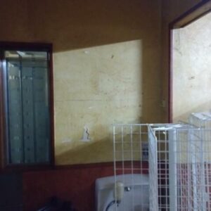 東京都江東区大島５丁目４７－５　47坪　貸倉庫・貸工場｜L-Net（エルネット） 画像4