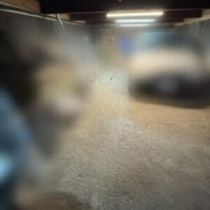 神奈川県横浜市鶴見区生麦４丁目７－２０　15坪　貸倉庫・貸工場｜L-Net（エルネット） 画像3