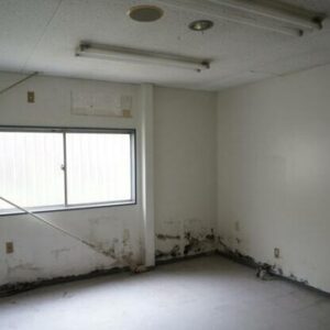 千葉県山武市松尾町大堤５５０他　281.3坪　貸倉庫・貸工場｜L-Net（エルネット） 画像3