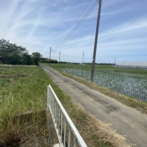 千葉県長生郡長生村金田　49坪　貸倉庫・貸工場｜L-Net（エルネット） 画像4