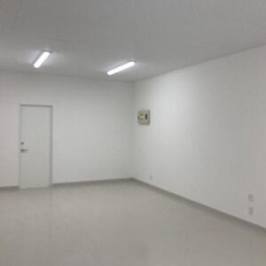 埼玉県本庄市児玉町児玉２３４７－１　363.3坪　貸倉庫・貸工場｜L-Net（エルネット） 画像4